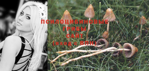 PSILOCYBIN Белоозёрский