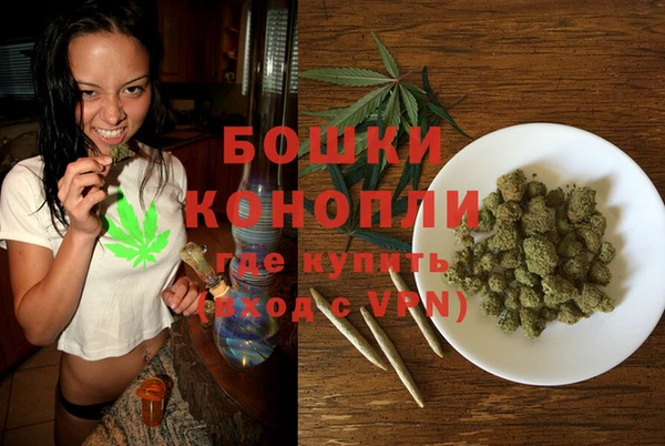 PSILOCYBIN Белоозёрский